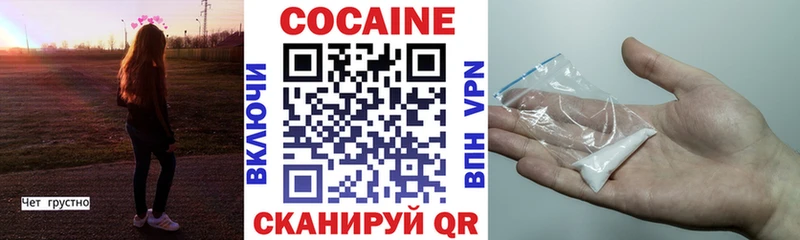 Купить закладки  Биробиджан  COCAIN FishScale 