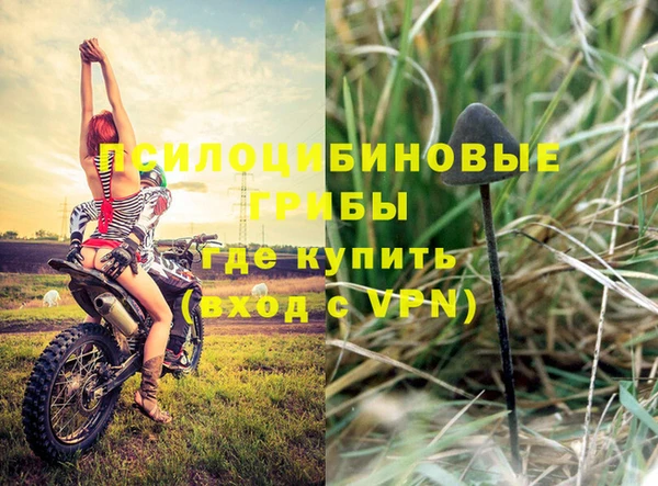 спайс Володарск
