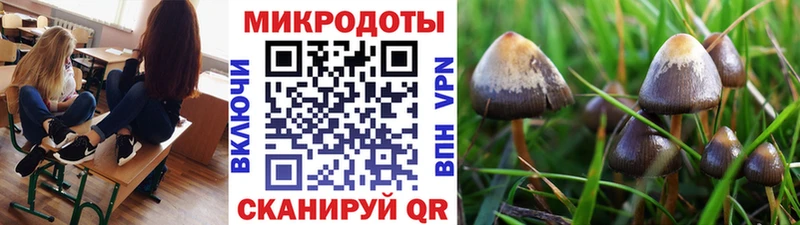 Купить  Биробиджан  Галлюциногенные грибы прущие грибы 